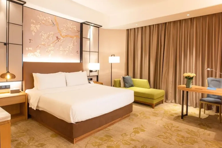 Superior Single room with city view
