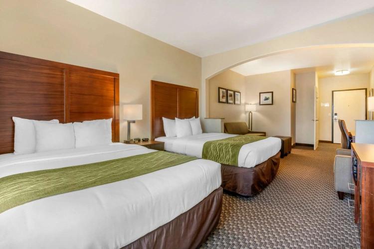 Quadruple Suite