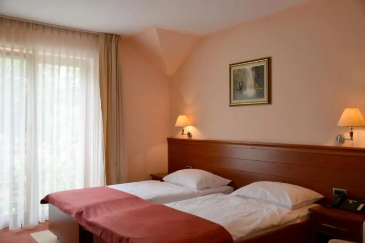 Standard Double room with balcony and with view