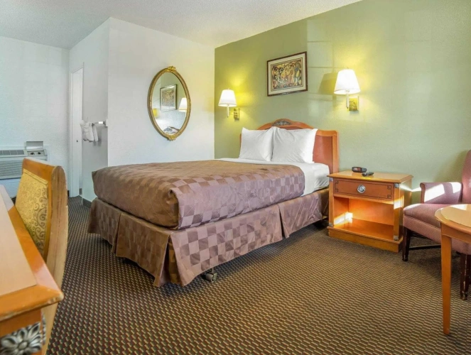 Standard Double room