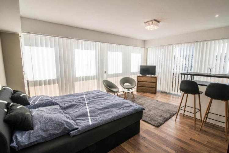 1 Bedroom Apartment