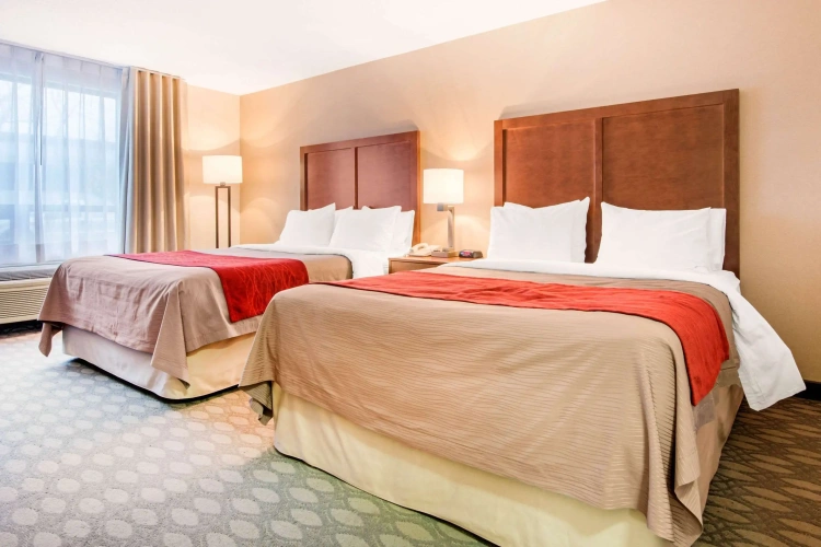 Standard Quadruple room