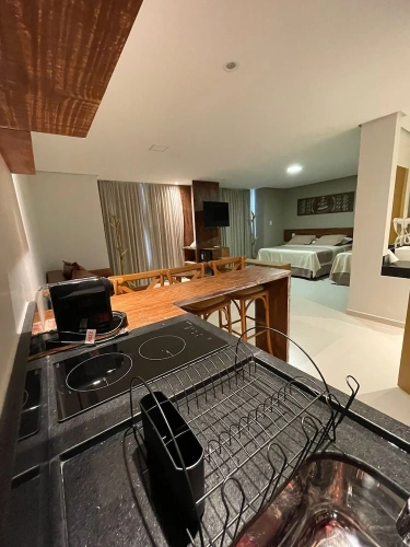 Luxury Apartment