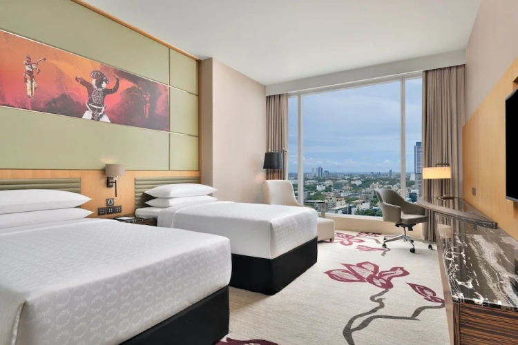 Deluxe Twin room with city view
