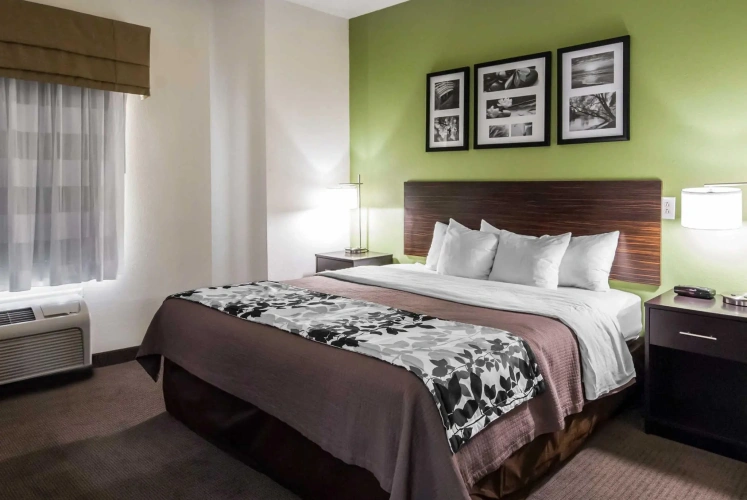 1 Bedroom Quadruple Suite