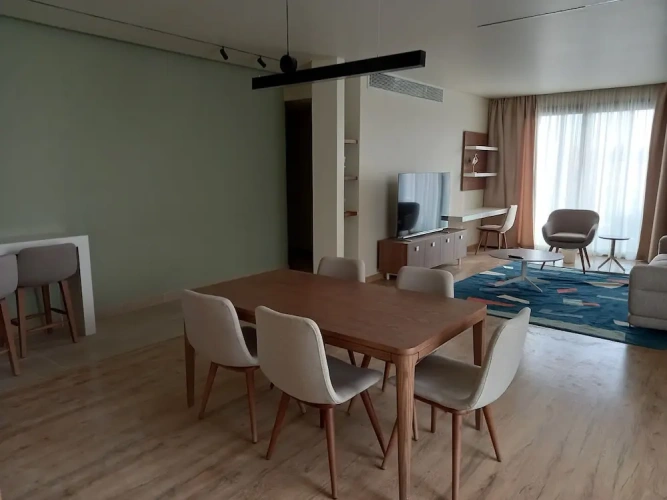 Luxury Apartment