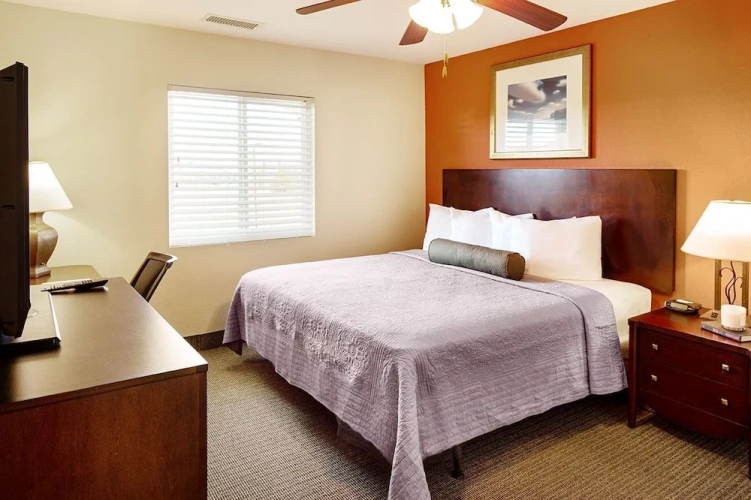 1 Bedroom Standard Suite
