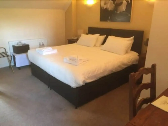 Superior Suite