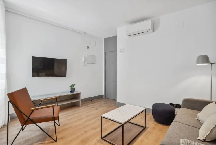 1 Bedroom Apartment