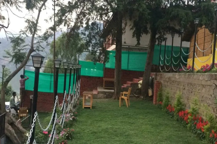 Lazy Bear Resort And Cafe