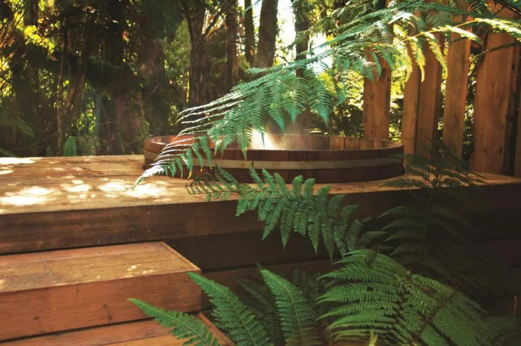 Treetops Lodge & Estate