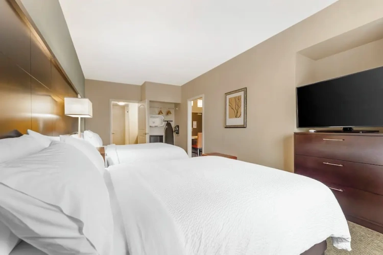 1 Bedroom Suite
