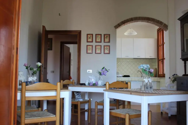 B&B Cavalieri