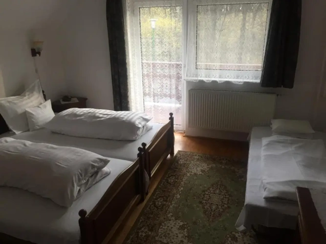 Superior Double room with mountain view