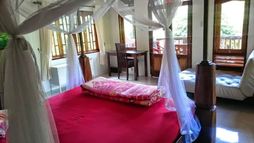 Hotel Orangutan