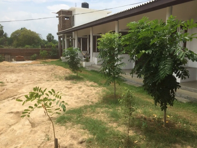 Deluxe Triple room with garden view