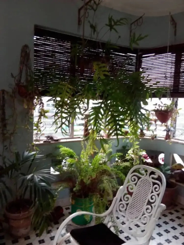 El Hostal Casa Cuevas