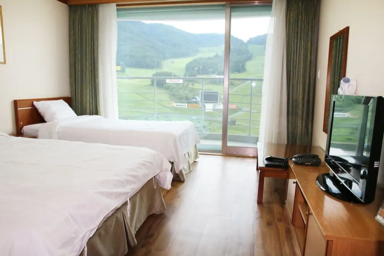 Standard Twin room with view