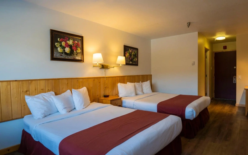 Standard Double room with view
