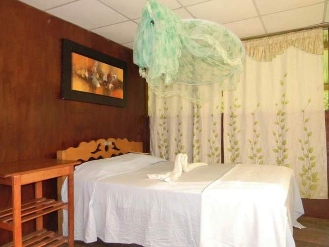 Standard Single room with balcony and with river view