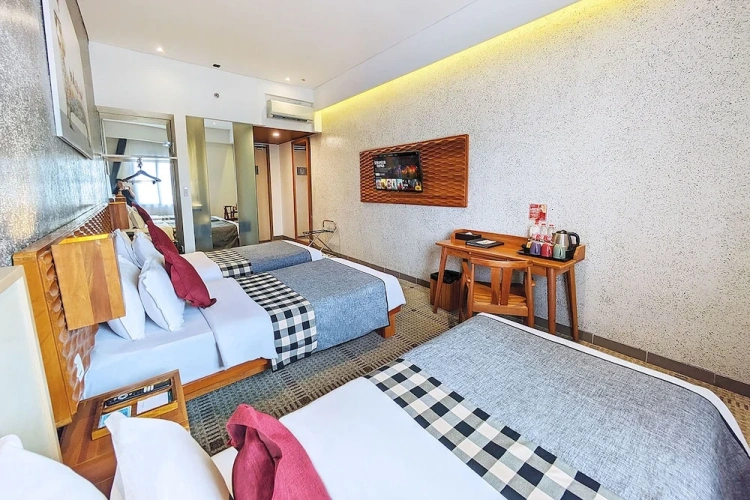 Deluxe Stylish Triple room