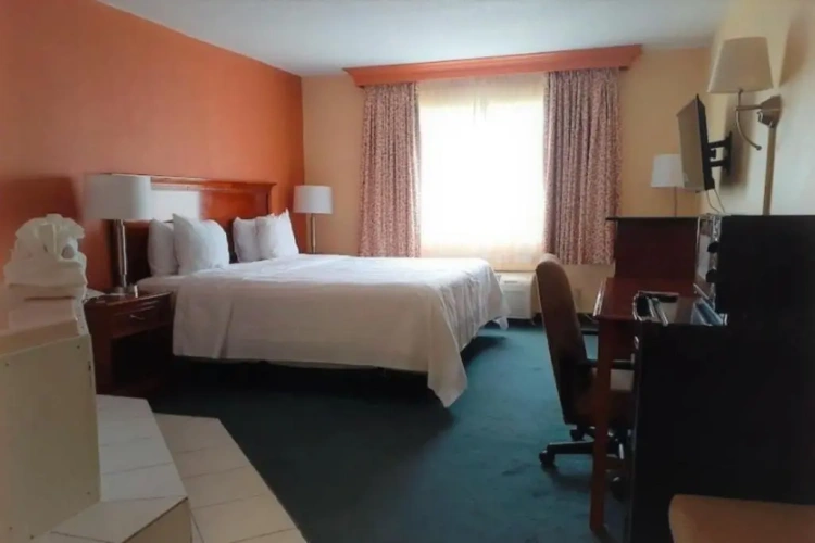 Standard Double room with courtyard view