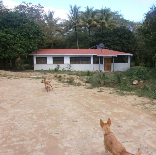 Outside