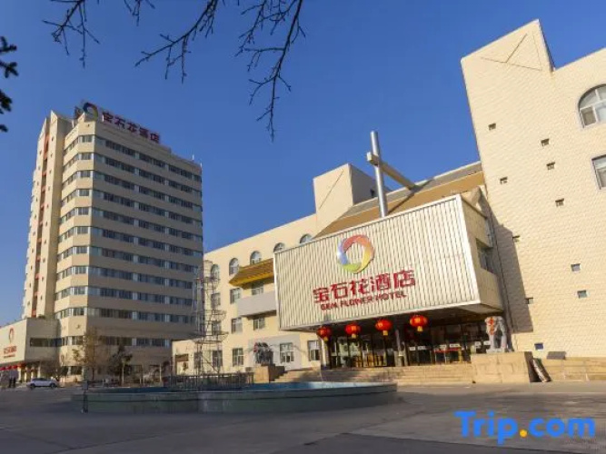 Jewel Flower Hotel(Hami Oil Base Store)