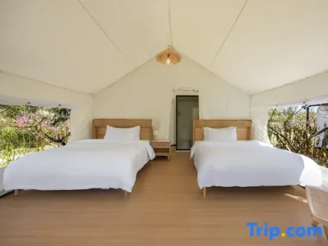 Family Tent