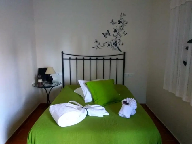 Standard Double room with mountain view