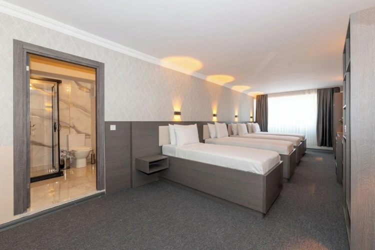 Standard Triple room with city view