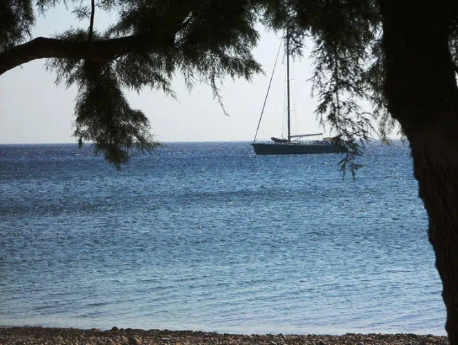 Olive Coast Suites