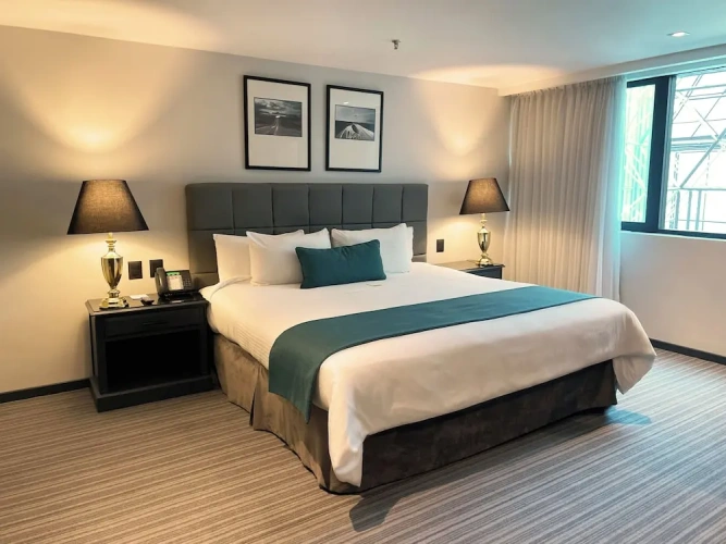Deluxe Single room with city view
