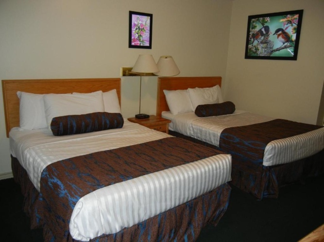 1 Bedroom Quadruple Suite