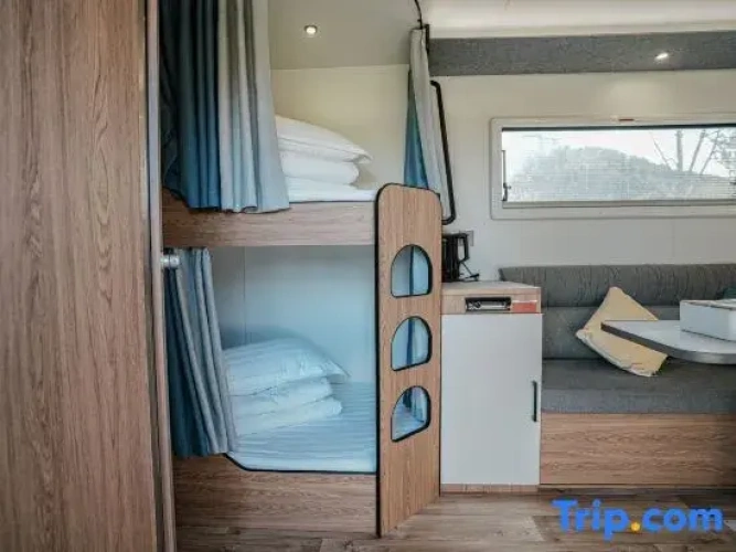 Bed in Dorm