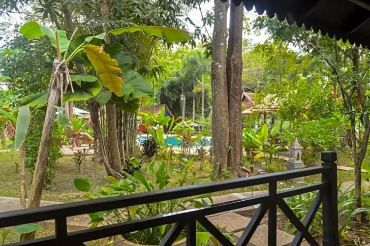 Deluxe Double room with pool view