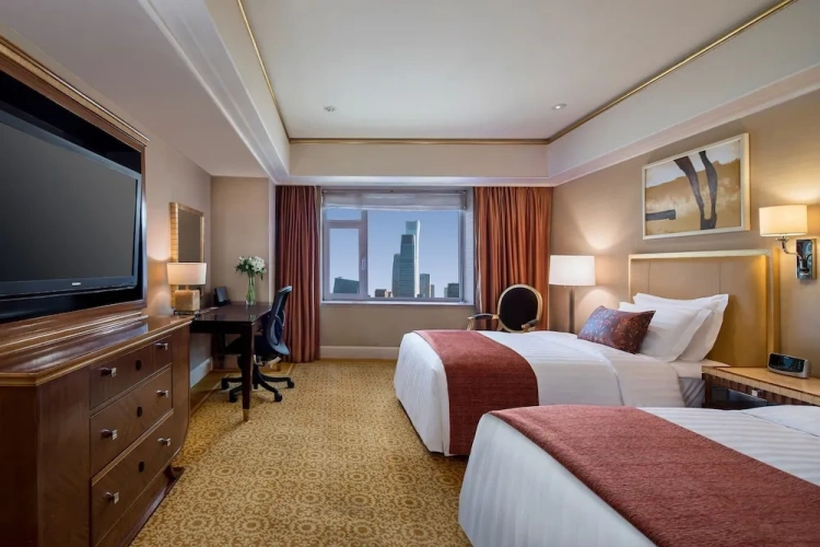 Executive Deluxe Twin room with city view