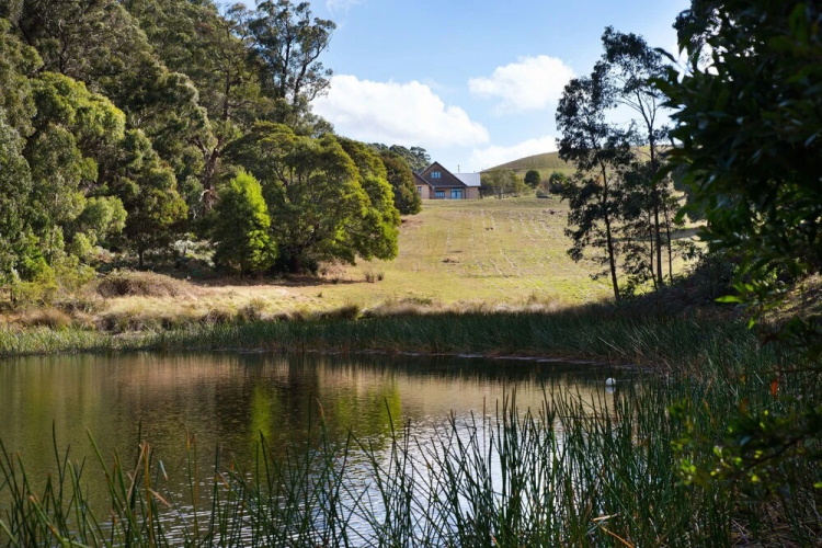Three Paddocks
