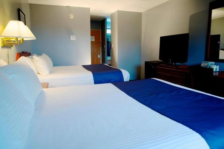 Standard Double room with view