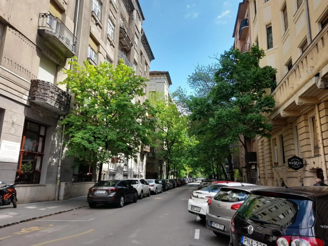 Stylish Homes Downtown Buda