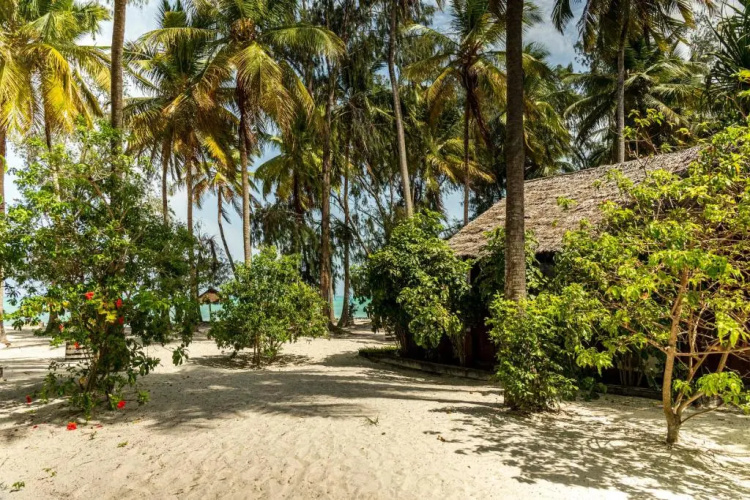 Kinazi Upepo Beach Hotel