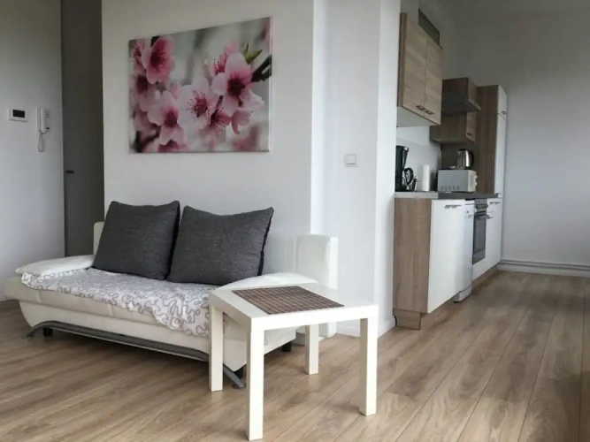 1 Bedroom Apartment with balcony