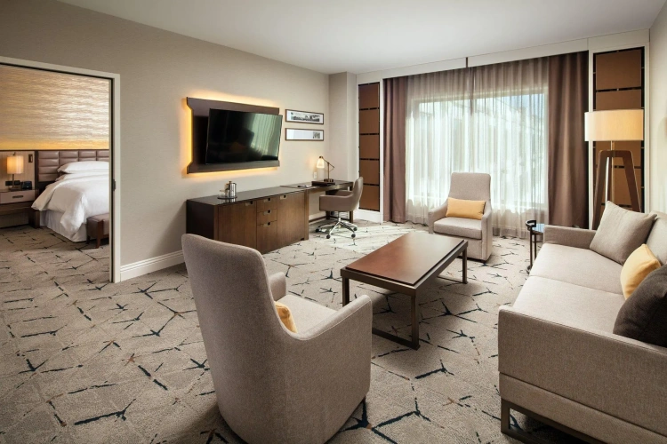 1 Bedroom Double Suite with city view