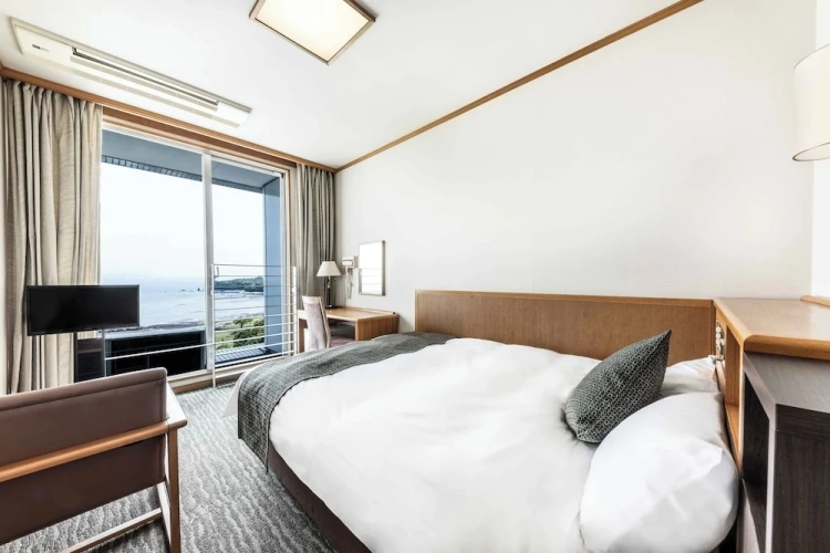 Standard Double room with balcony and with sea view