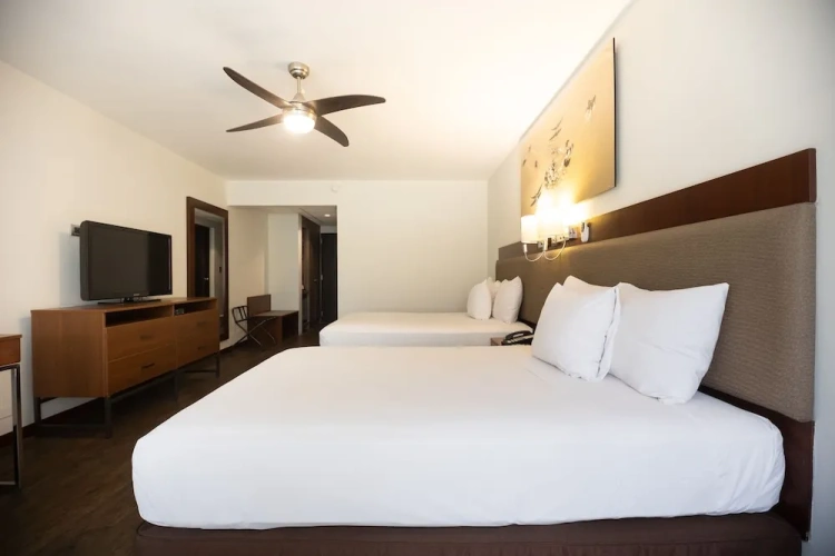 Superior Twin room with pool view