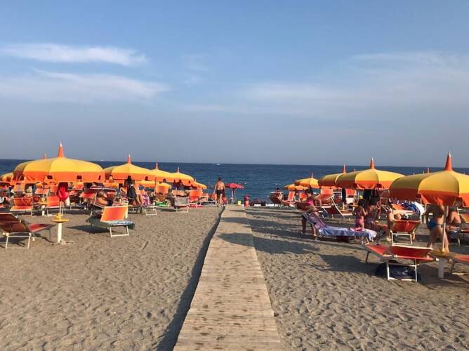 emily houseOver view