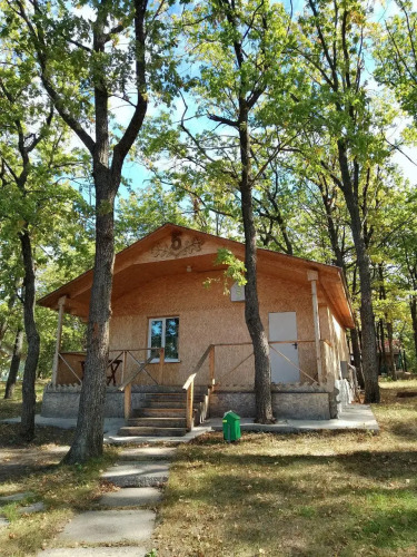 Фотография номера базы отдыха Дубки у Валентины