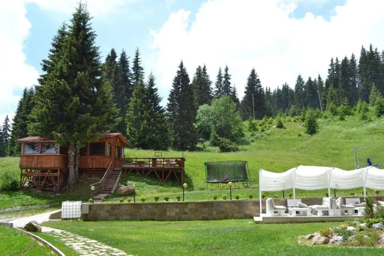 Forest Nook Aparthotel