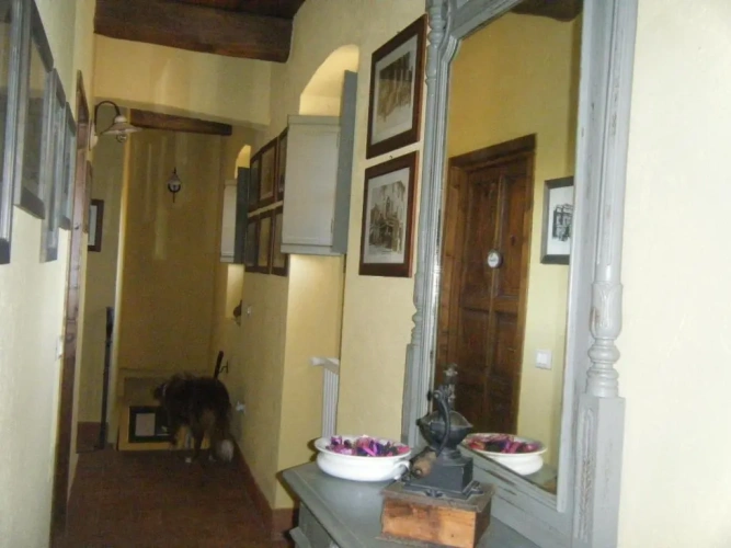 Standard Double room with balcony and with view