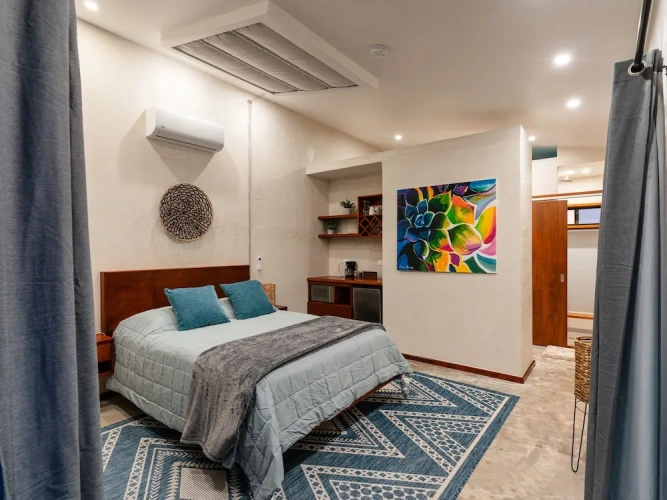 Single Suite